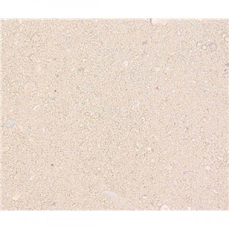 Bahamas Oolite Live Sand 20LB