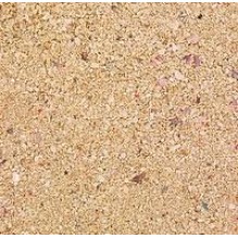 Coral Sand 20kg