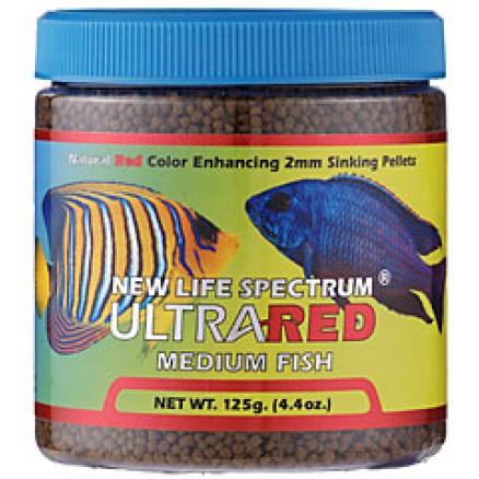 coral reef aquatics fish