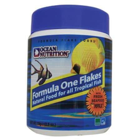 Ocean Nutrition Formula One Flake 71g