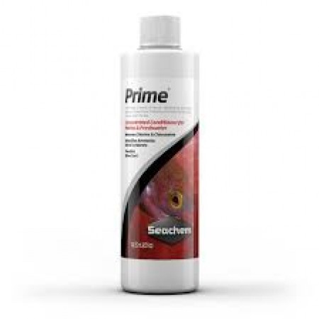 Prime