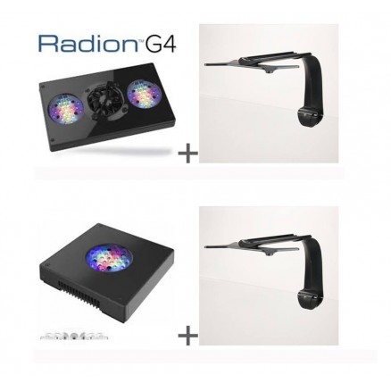 radion led ecotech marine