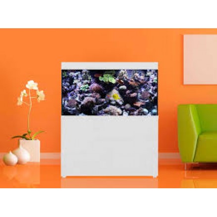 88 Aquarium Design Glasgow HD Terbaik