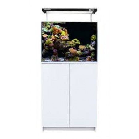 Mini Reef 120
