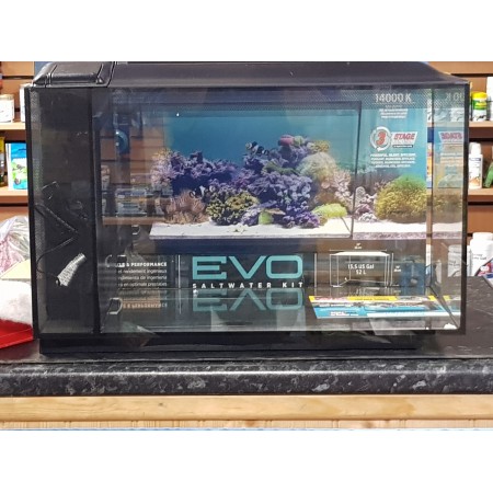 Evo sea