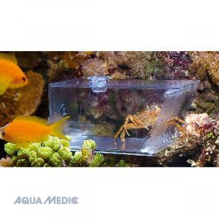 Aquamedic pest trap