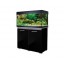 standard black