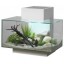 Edge aquarium