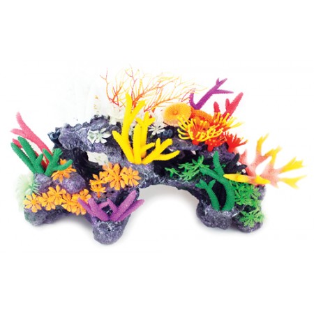Mixed Bright Coral Reef