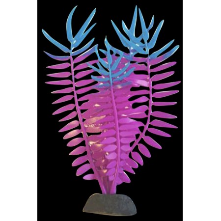 Flexiscape Waterwort Purple/Blue (large)