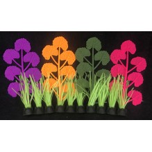 Flexiscape row of Pennywort purple/pink/orange/green