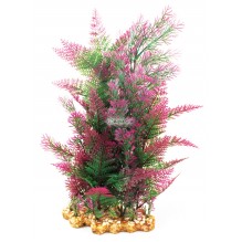 Vibrance Purple Mix Fern