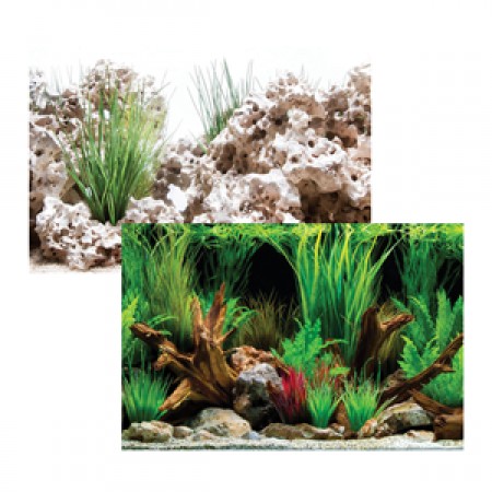 Cloudstone/Wonderscape 24" high