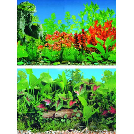 Red Butterfly/ Pearl Water Grass (48"x18")