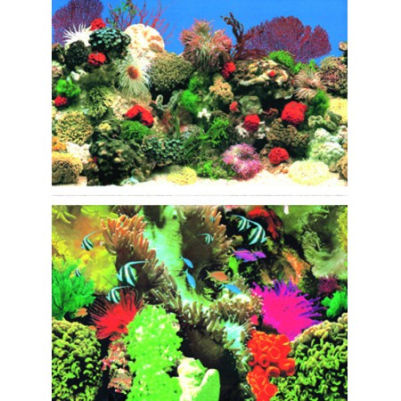 Red Coral/Sea Paradise (48"x18")