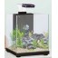Betta Santuary