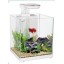 Betta Santuary
