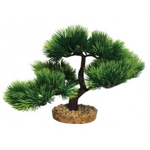 Bonsai Small