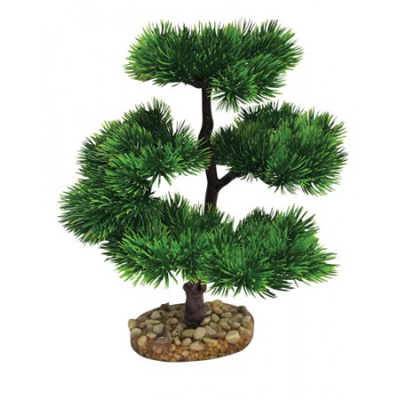 Bonsai Large