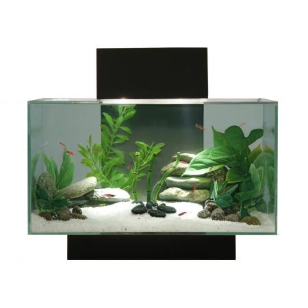 Edge aquarium