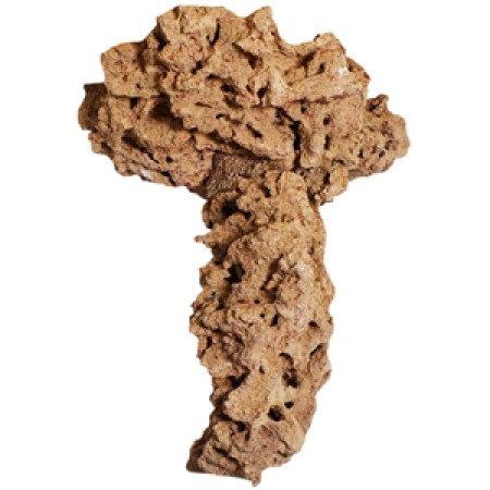 Moani Mushroom