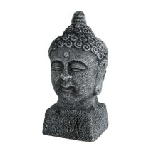 Buddha head