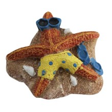 Starfish On Beach