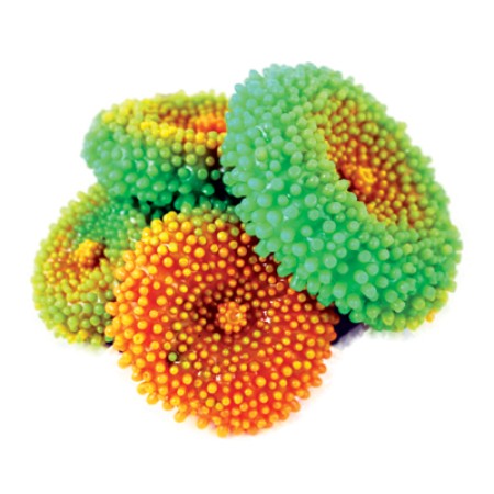 Coral Red/Green Mushrooms