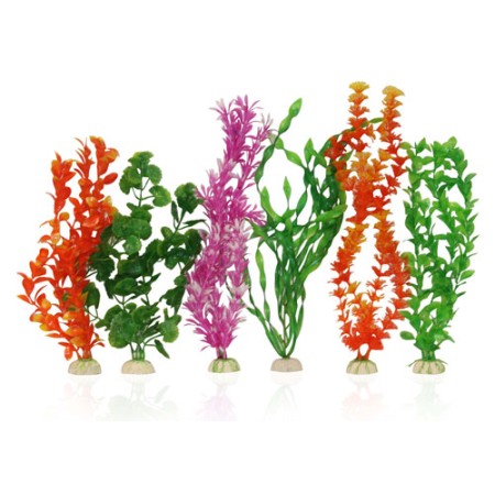 Variety Plastic Plant Packs 40cm