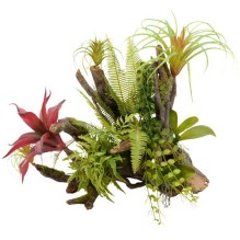 Natural tropical garden branch ornament