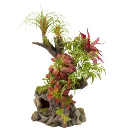 natural tropical garden plant sump