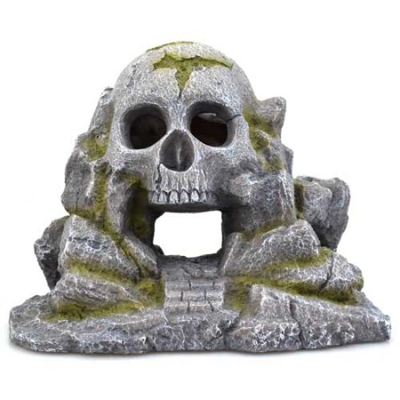 skull rock cave