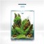 Day and Night 20ltrs Shrimp Aquarium