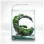 Day and Night 30ltr Shrimp Tank