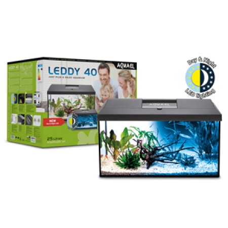 Leddy 40