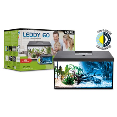 Leddy 60