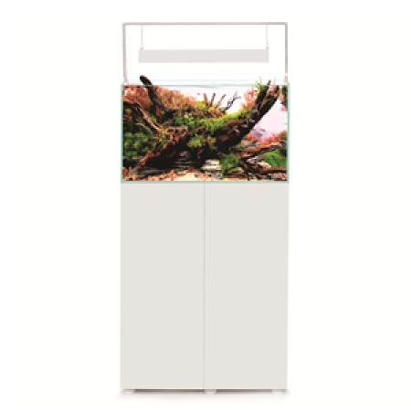 Ultrascape 60 Aquarium
