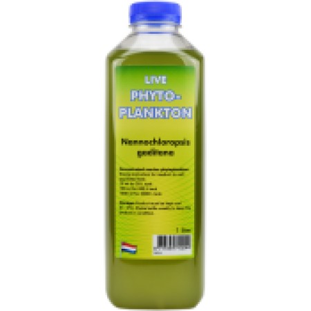 Phytoplankton Nannochloropsis gaditana – 1000ml bottle