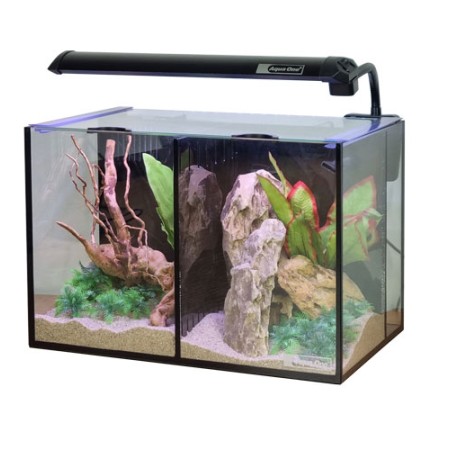 Betta Duo - 2 in 1 Glass Aquarium