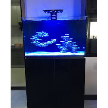 Neptunian M Pro 90