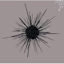 Longspine Urchin