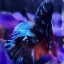 Male Avatar Betta