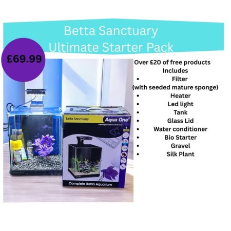 Betta Sanctuary Bundle deal