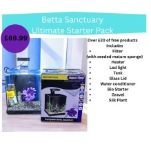 Betta Sanctuary Bundle deal