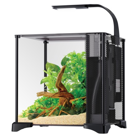 Betta Premium Aquarium Kit