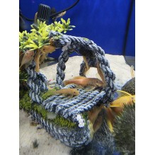 Blue eye Bristlenose Plec