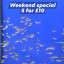Weekend Special Weekend Special