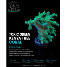 Toxic Green Kenya Tree - Capnella