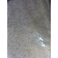 Shark Riverbed 10kg