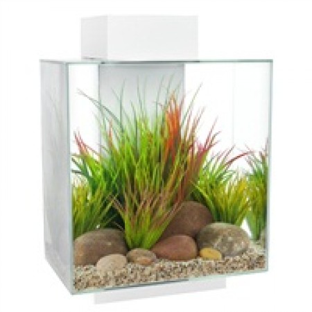 Edge  46ltr